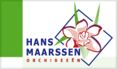 Hans Maarssen Orchideeën